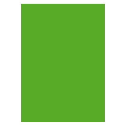 Karton A4 170 Gram 10 Ark Grøn