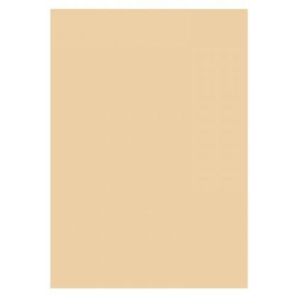 Folia Karton 300g 70x100cm 10 Ark Beige