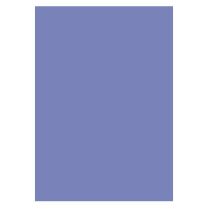 Karton A4 300g 10ark Violet