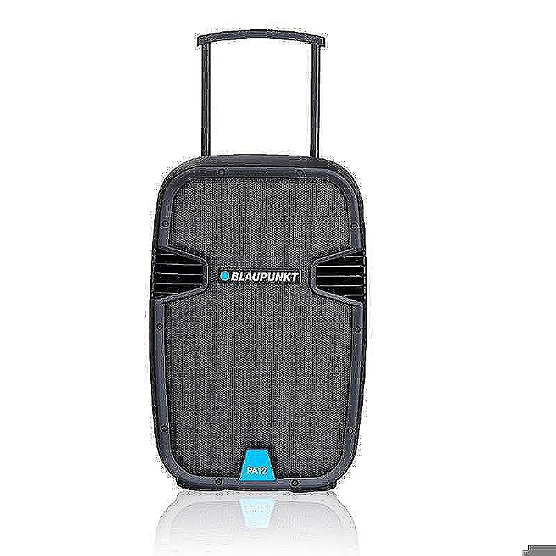 Blaupunkt Profesional System